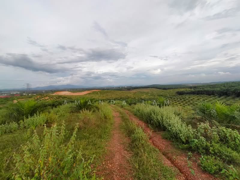 Industrial Land for Sale in Bukit Selambau (Kedah) - Amanda Lam - Exterior - PropertyGuru.com.my
