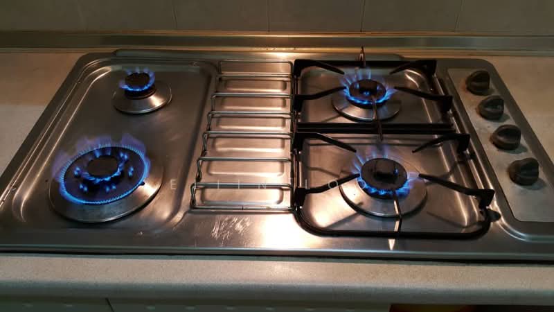 1-storey Terraced House for Sale in Taman Pelangi Indah (Ulu Tiram) - Eliin Loo - Kitchen - PropertyGuru.com.my