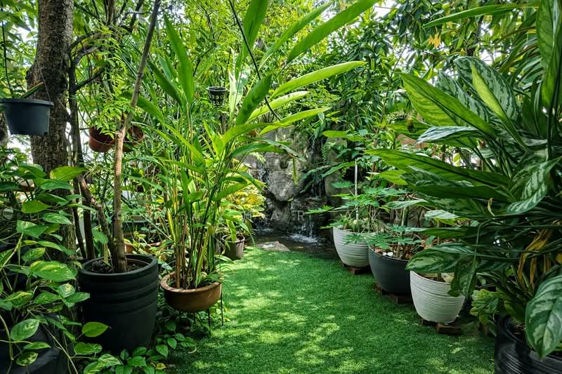 2-storey Terraced House for Sale in Usj 9 (Subang Jaya) - Nor Azhar Azlan - Garden - PropertyGuru.com.my