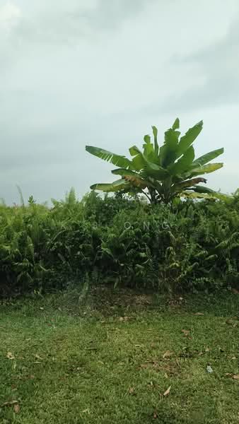 Industrial Land for Sale in Johor Bahru (Johor) - K S Ong - Exterior - PropertyGuru.com.my