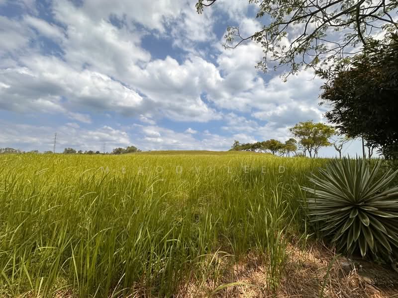 Bungalow Land for Sale in Leisure Farm (Gelang Patah) - Melody Leed - Exterior - PropertyGuru.com.my