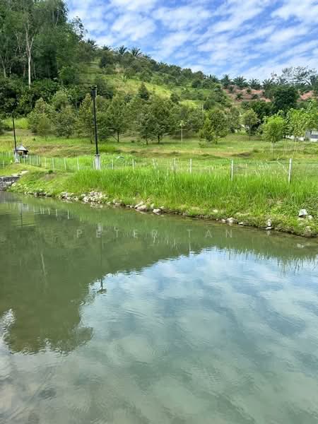 Agricultural Land for Sale in Bandar Sungai Buaya (Serendah) - Peter Tan - Exterior - PropertyGuru.com.my