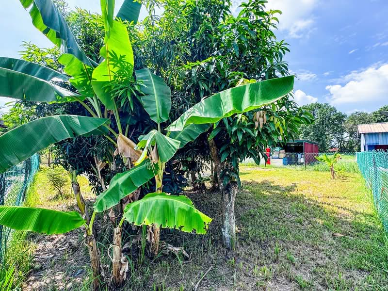 Bungalow for Sale in Bandar Mahkota Banting (Tanjong Duabelas) - Sue Arifin - Garden - PropertyGuru.com.my