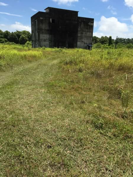 Tanah Pertanian untuk Dijual di Mersing (Johor) - Derrick Tan - Exterior - PropertyGuru.com.my
