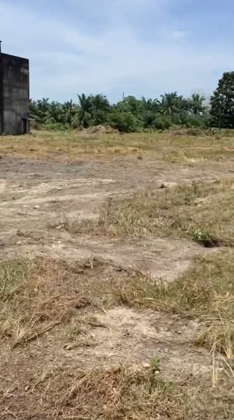 Tanah Pertanian untuk Dijual di Mersing (Johor) - Derrick Tan - Exterior - PropertyGuru.com.my