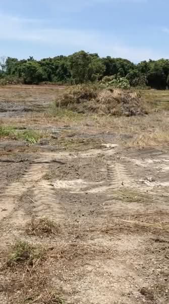 Tanah Pertanian untuk Dijual di Mersing (Johor) - Derrick Tan - Exterior - PropertyGuru.com.my