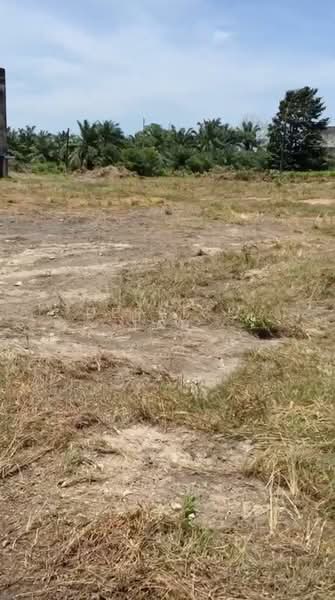 Tanah Pertanian untuk Dijual di Mersing (Johor) - Derrick Tan - Exterior - PropertyGuru.com.my