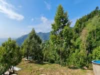 For Sale - Raub
