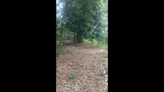 Agricultural Land for Sale in Serendah (Selangor) - Pek Wah Ng - PropertyGuru.com.my