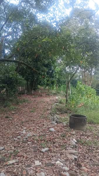 Agricultural Land for Sale in Serendah (Selangor) - Pek Wah Ng - Exterior - PropertyGuru.com.my