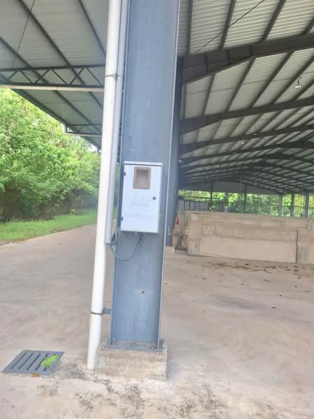 Rumah Niaga untuk Disewa di Temerloh (Pahang) - Amy Lew - Exterior - PropertyGuru.com.my