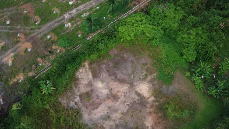 Residential Land for Sale in Iskandar Puteri (Nusajaya) (Johor) - John Choo - Garden - PropertyGuru.com.my