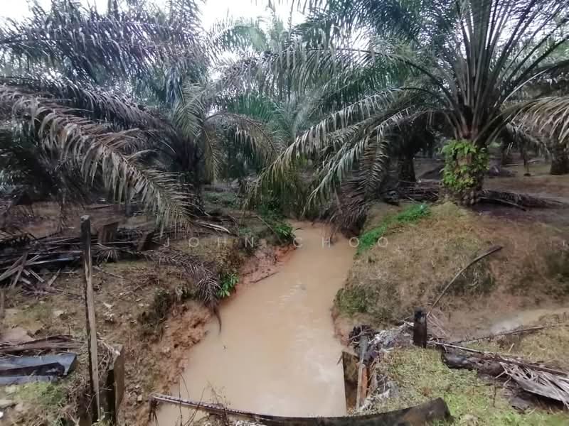 Agricultural Land for Sale in Kulai (Johor) - John Choo - Exterior - PropertyGuru.com.my