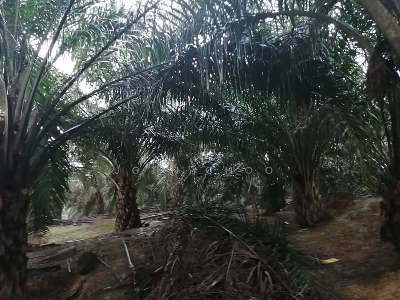 Agricultural Land for Sale in Kulai (Johor) - John Choo - Exterior - PropertyGuru.com.my