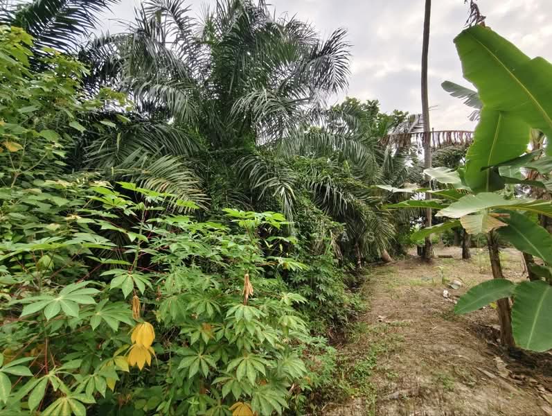 Tanah Pertanian untuk Dijual di Klang (Selangor) - Azwa Abas - PropertyGuru.com.my