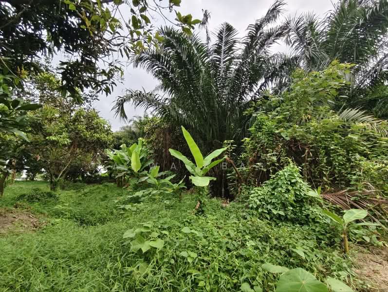 Tanah Pertanian untuk Dijual di Klang (Selangor) - Azwa Abas - PropertyGuru.com.my