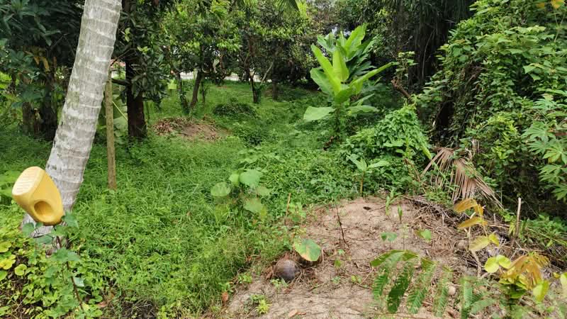 Tanah Pertanian untuk Dijual di Klang (Selangor) - Azwa Abas - PropertyGuru.com.my