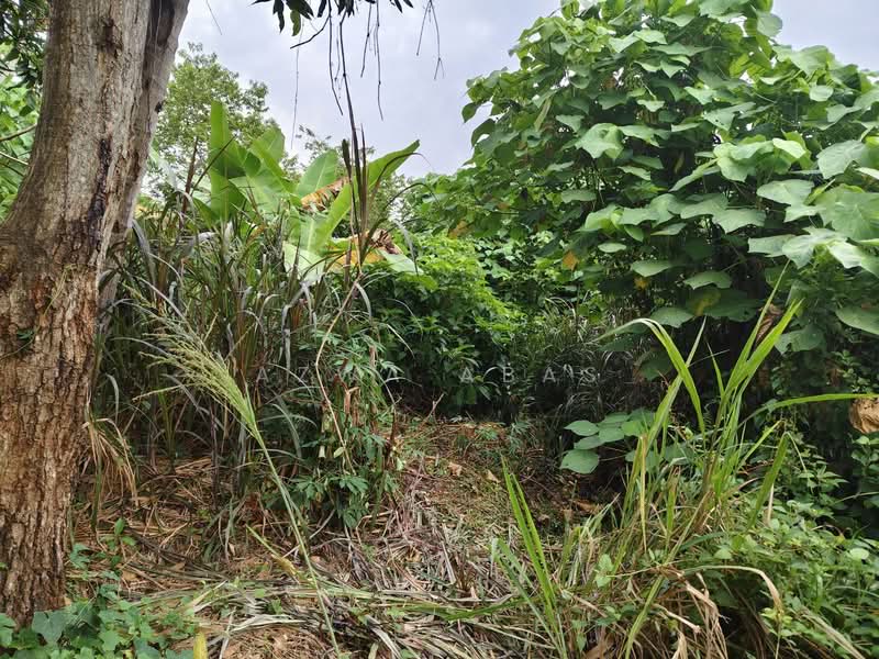 Tanah Pertanian untuk Dijual di Klang (Selangor) - Azwa Abas - Garden - PropertyGuru.com.my