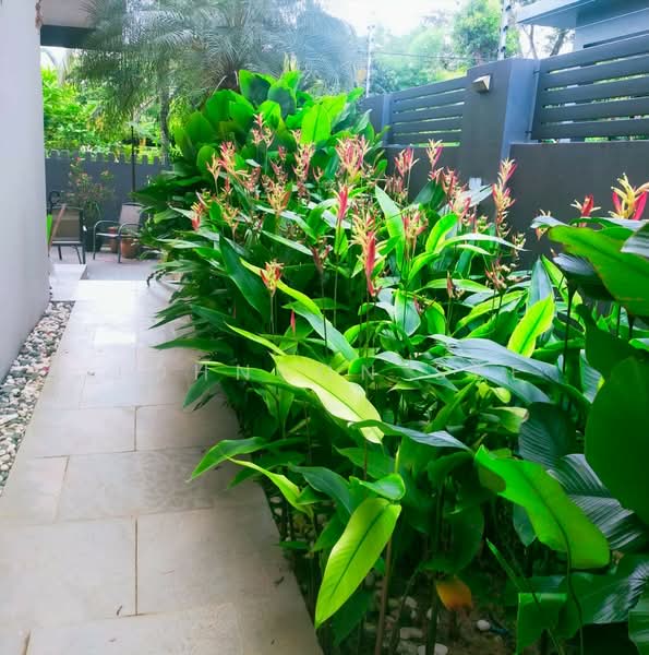 Bungalow for Sale in Usj 3d (Subang Jaya) - Johnson See - Garden - PropertyGuru.com.my