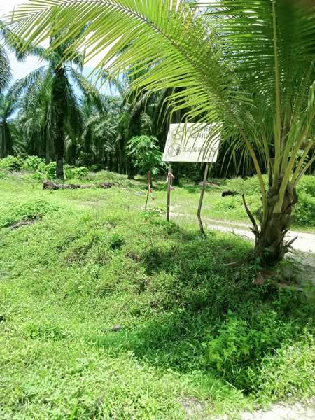 Agricultural Land for Sale in Manjung (Perak) - Azlina Muslim - Exterior - PropertyGuru.com.my