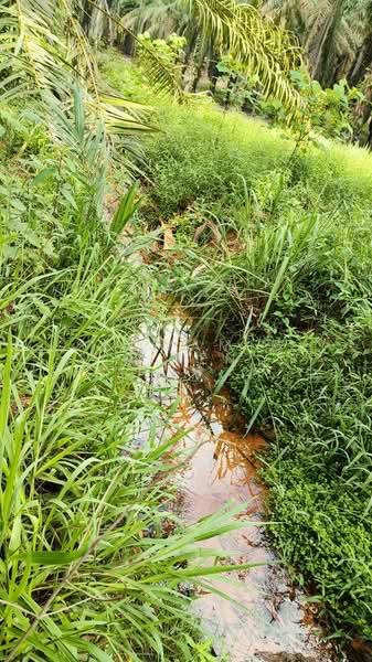 Agricultural Land for Sale in Labis (Johor) - Seowamiga Ten - Exterior - PropertyGuru.com.my
