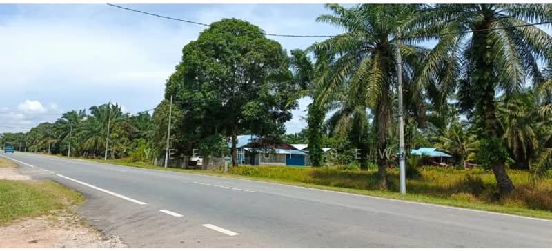 Agricultural Land for Sale in Batu Pahat (Johor) - Yee Hui Sew - Exterior - PropertyGuru.com.my