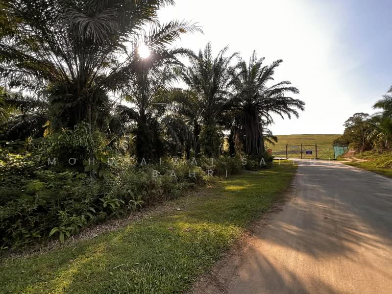 Tanah Pertanian untuk Dijual di Bandar Baru Salak Tinggi (Sepang) - Mohd Aizat Saiful Bahri - Exterior - PropertyGuru.com.my