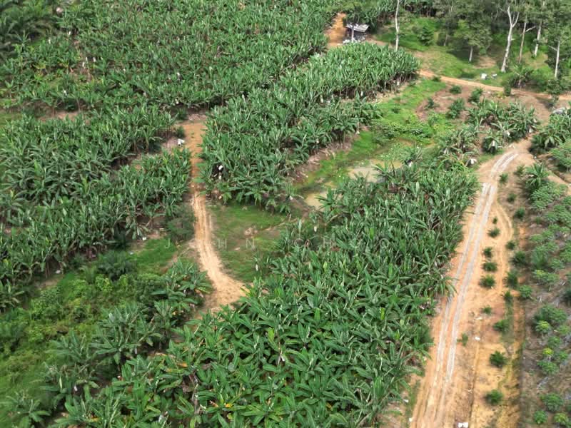 Agricultural Land for Sale in Kota Tinggi (Johor) - John Choo - Exterior - PropertyGuru.com.my