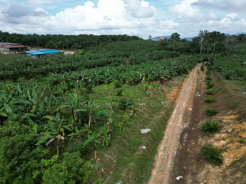 Agricultural Land for Sale in Kota Tinggi (Johor) - John Choo - Exterior - PropertyGuru.com.my