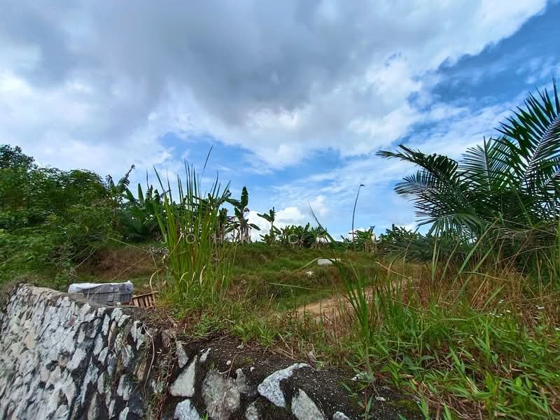 Agricultural Land for Sale in Kota Tinggi (Johor) - John Choo - Exterior - PropertyGuru.com.my