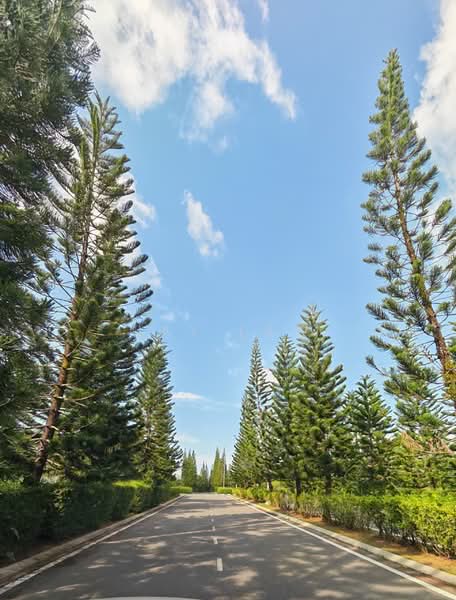 2-storey Terraced House for Sale in Kuching (Sarawak) - Jay Law - Exterior - PropertyGuru.com.my