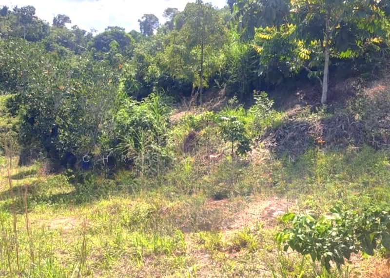 Agricultural Land for Sale in Pajam (Negeri Sembilan) - Christine Tan - Exterior - PropertyGuru.com.my