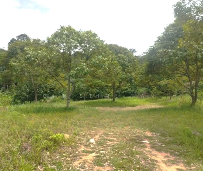 Agricultural Land for Sale in Pajam (Negeri Sembilan) - Christine Tan - Garden - PropertyGuru.com.my
