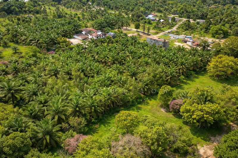 Ulu Tiram Ulus Tirams - 2