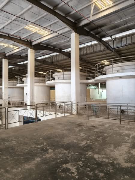 Semi-D Factory for Rent in Kawasan Perindustrian Pasir Gudang (Pasir Gudang) - Nelson Tan - PropertyGuru.com.my