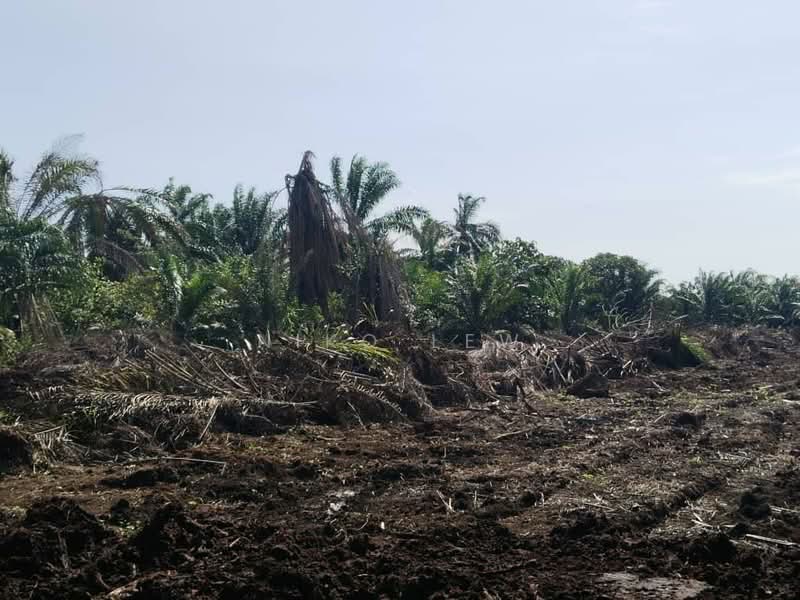 Agricultural Land for Rent in Ayer Baloi (Johor) - Niko Lew - Exterior - PropertyGuru.com.my