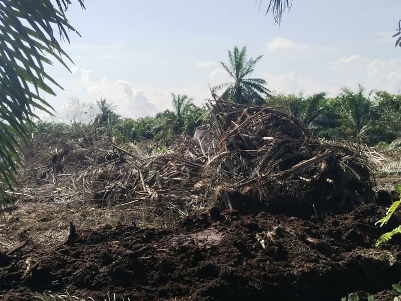 Agricultural Land for Rent in Ayer Baloi (Johor) - Niko Lew - Exterior - PropertyGuru.com.my