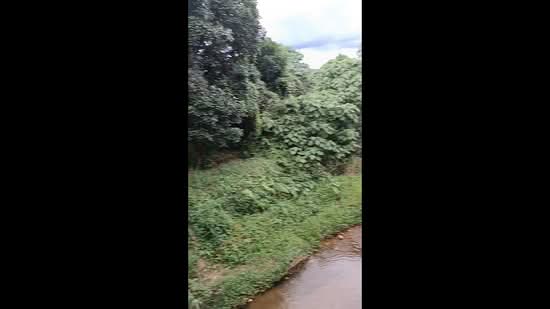 Tanah Pertanian untuk Dijual di Kalumpang (Selangor) - Pek Wah Ng - PropertyGuru.com.my