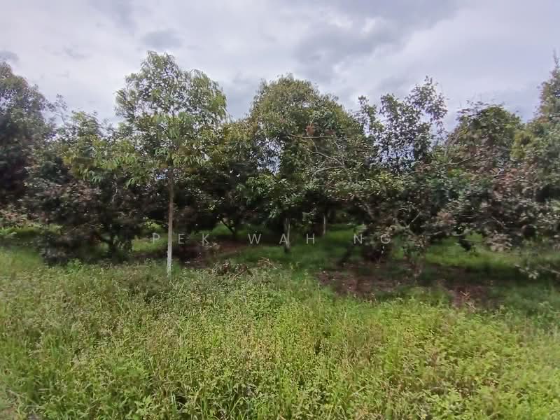 Tanah Pertanian untuk Dijual di Kalumpang (Selangor) - Pek Wah Ng - Garden - PropertyGuru.com.my