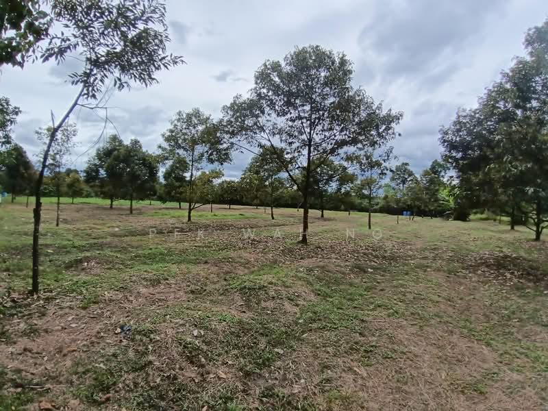 Tanah Pertanian untuk Dijual di Kalumpang (Selangor) - Pek Wah Ng - Exterior - PropertyGuru.com.my