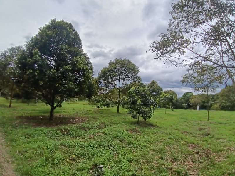 Tanah Pertanian untuk Dijual di Kalumpang (Selangor) - Pek Wah Ng - Garden - PropertyGuru.com.my