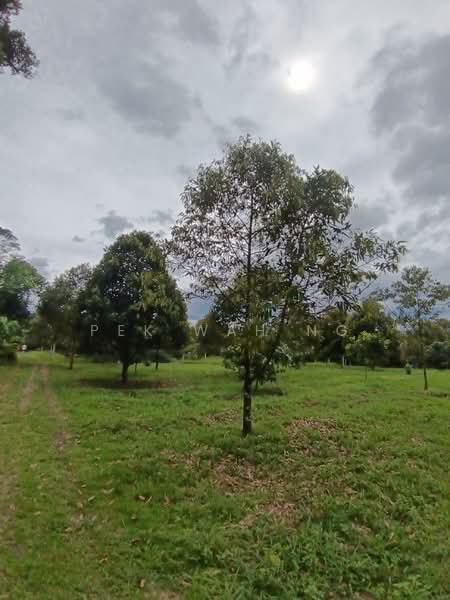 Tanah Pertanian untuk Dijual di Kalumpang (Selangor) - Pek Wah Ng - Exterior - PropertyGuru.com.my