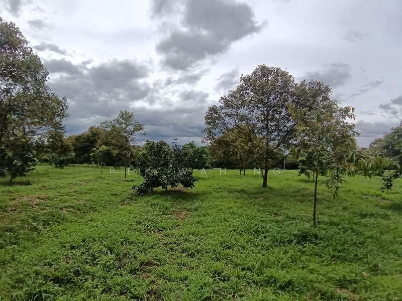 Tanah Pertanian untuk Dijual di Kalumpang (Selangor) - Pek Wah Ng - Garden - PropertyGuru.com.my