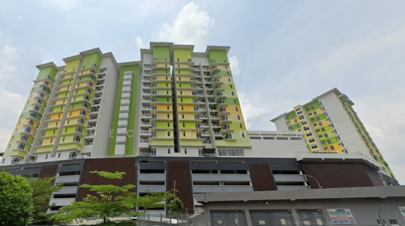 Imperial Hatamas - 5