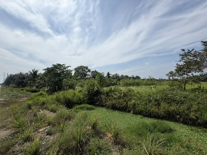 Agricultural Land for Sale in Bukit Rotan (Kuala Selangor) - Uthaya Kumar - Exterior - PropertyGuru.com.my