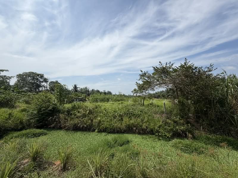 Agricultural Land for Sale in Bukit Rotan (Kuala Selangor) - Uthaya Kumar - Garden - PropertyGuru.com.my