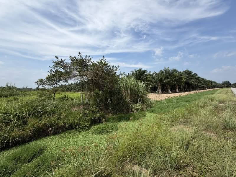 Agricultural Land for Sale in Bukit Rotan (Kuala Selangor) - Uthaya Kumar - Exterior - PropertyGuru.com.my