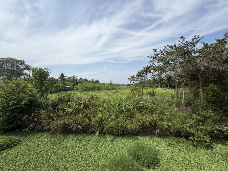 Agricultural Land for Sale in Bukit Rotan (Kuala Selangor) - Uthaya Kumar - Garden - PropertyGuru.com.my
