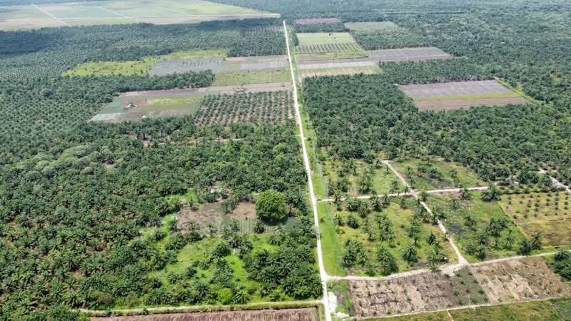 Agricultural Land for Sale in Pontian (Johor) - KS Chin - Exterior - PropertyGuru.com.my