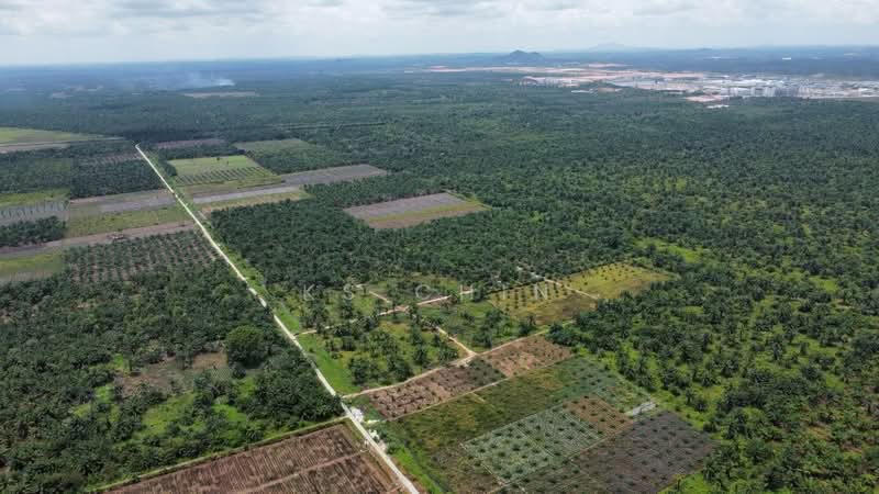 Agricultural Land for Sale in Pontian (Johor) - KS Chin - Exterior - PropertyGuru.com.my
